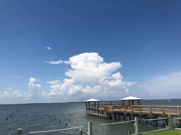 59B16B38-A74D-4174-87BD-7DCBA33A96CA